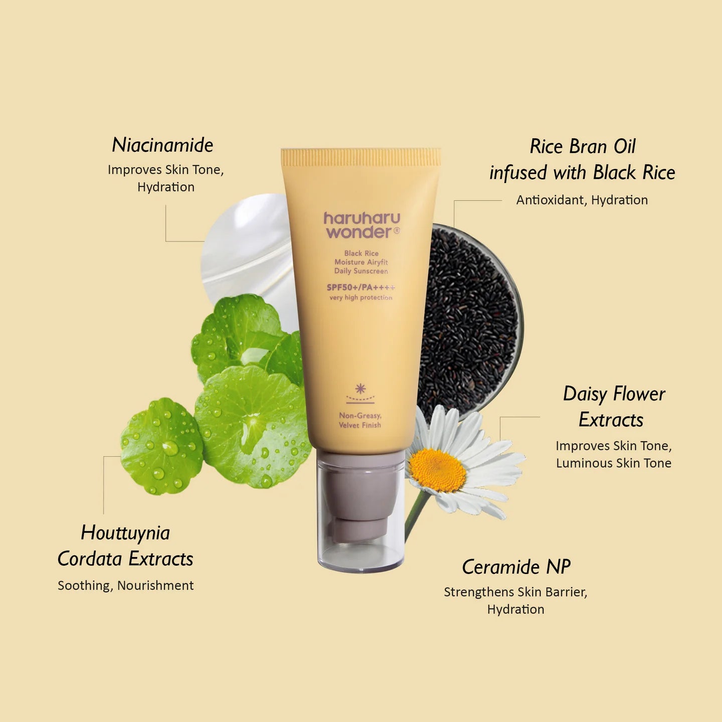Haruharu Wonder Black Rice Moisture Airyfit Daily Sunscreen 50ML