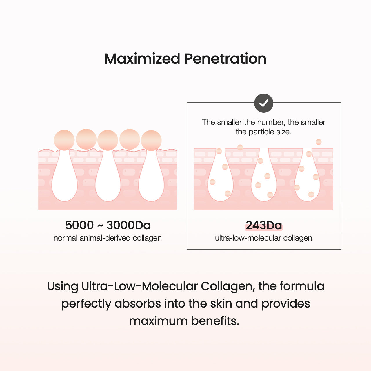 BIODANCE Pore Tightening Collagen Ampoule 30ml