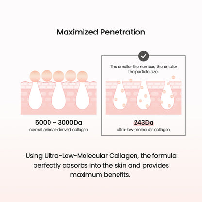 BIODANCE Pore Tightening Collagen Ampoule 30ml